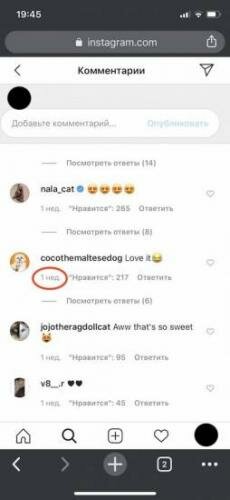 ig-comment-likes3.jpeg